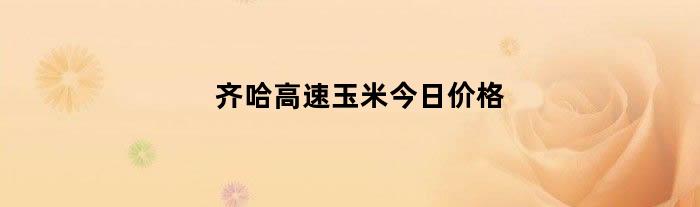 齐哈高速玉米今日价格