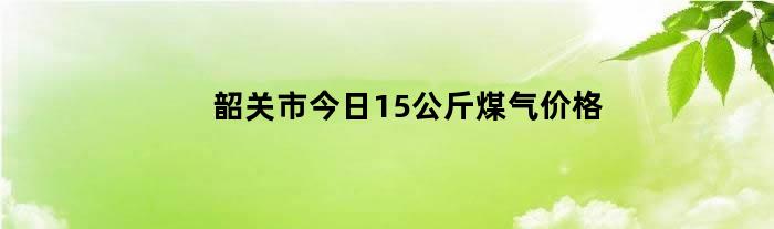 韶关市今日15公斤煤气价格