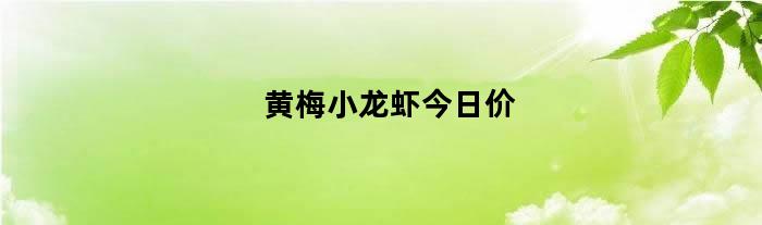 黄梅小龙虾今日价