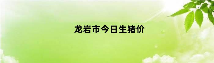 龙岩市今日生猪价