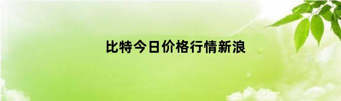 比特今日价格行情新浪