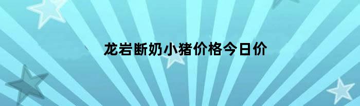 龙岩断奶小猪价格今日价