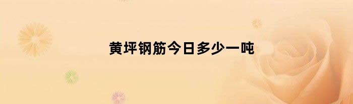 黄坪钢筋今日多少一吨