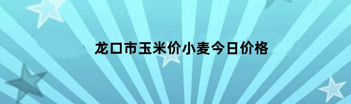 龙口市玉米价小麦今日价格