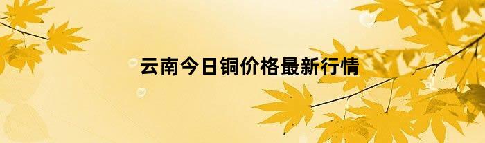 云南今日铜价格最新行情