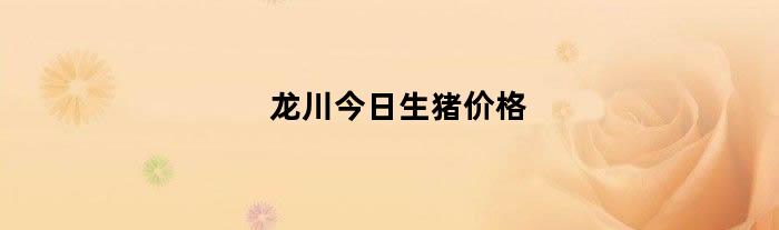 龙川今日生猪价格