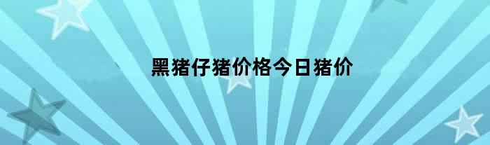 黑猪仔猪价格今日猪价