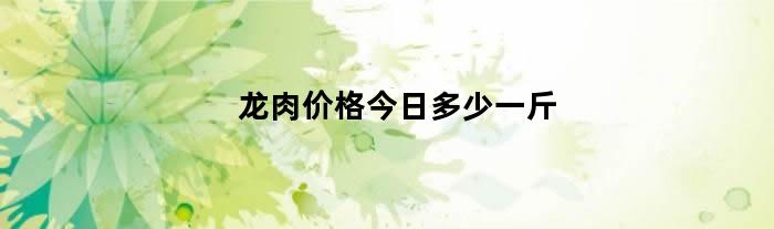 龙肉价格今日多少一斤