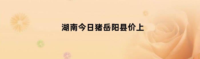 湖南今日猪岳阳县价上（岳阳市猪价是多少）