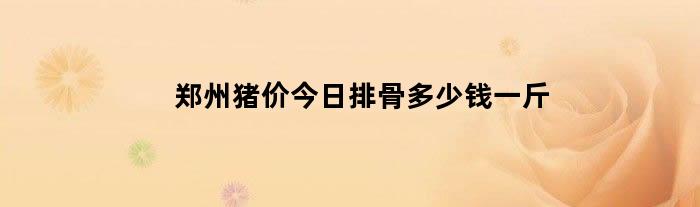 郑州猪价今日排骨多少钱一斤