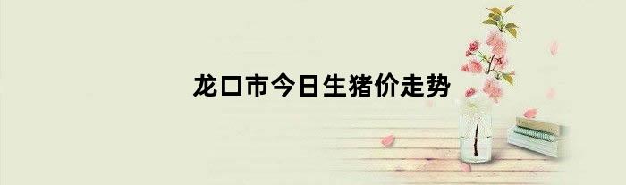 龙口市今日生猪价走势