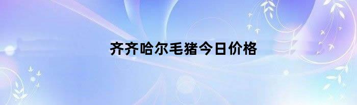 齐齐哈尔毛猪今日价格