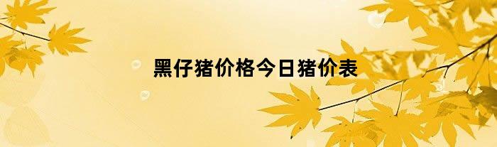 黑仔猪价格今日猪价表