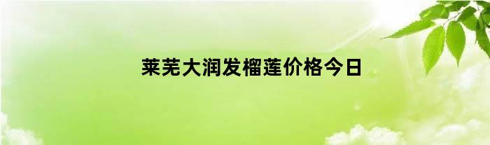 莱芜大润发榴莲价格今日