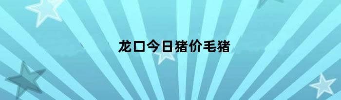 龙口今日猪价毛猪