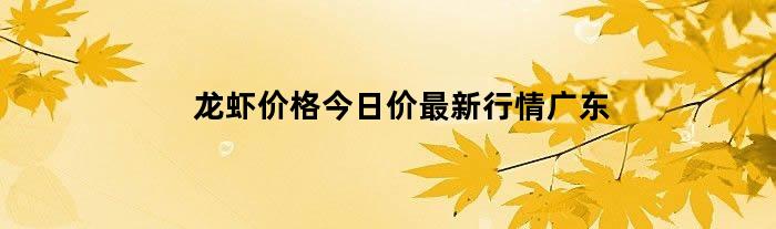 龙虾价格今日价最新行情广东