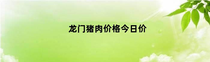 龙门猪肉价格今日价