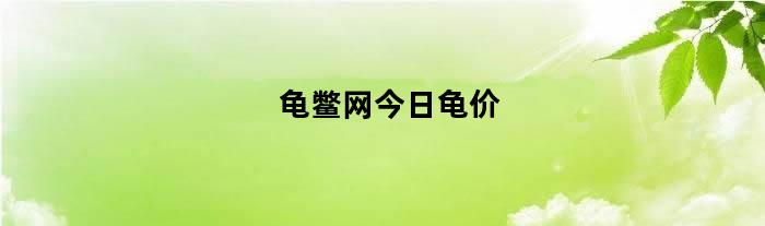 龟鳖网今日龟价