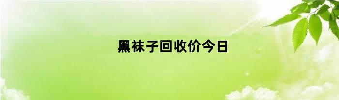 黑袜子回收价今日