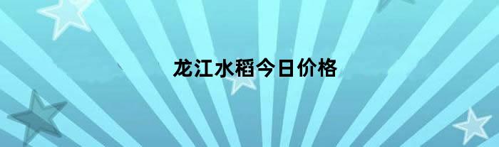 龙江水稻今日价格