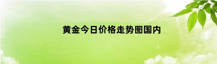 黄金今日价格走势图国内