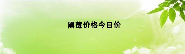 黑莓价格今日价