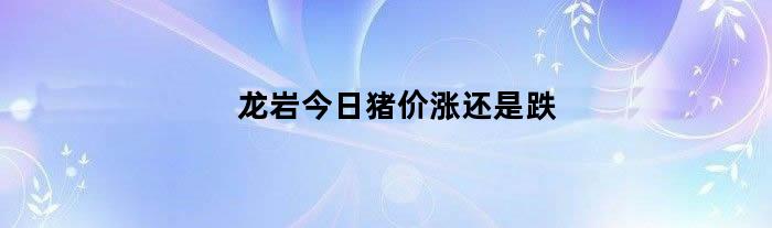 龙岩今日猪价涨还是跌