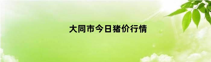 大同市今日猪价行情