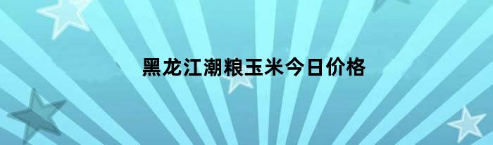 黑龙江潮粮玉米今日价格