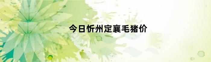 今日忻州定襄毛猪价（今日忻府区生猪价格）