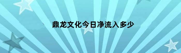 鼎龙文化今日净流入多少