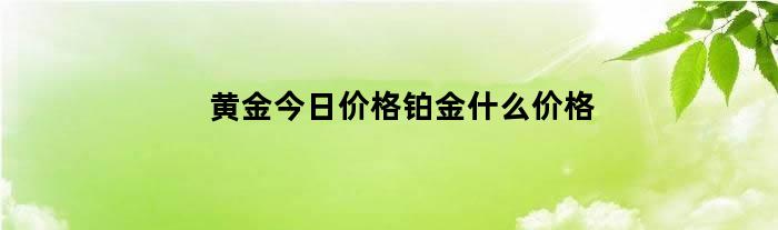 黄金今日价格铂金什么价格