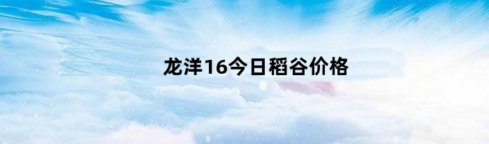 龙洋16今日稻谷价格