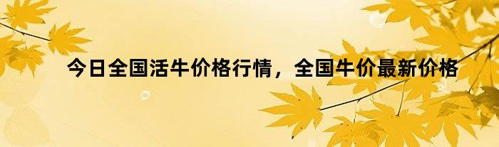 今日全国活牛价格行情，全国牛价最新价格