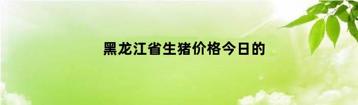 黑龙江省生猪价格今日的