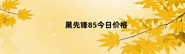 黑先锋85今日价格