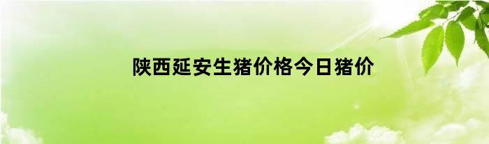 陕西延安生猪价格今日猪价