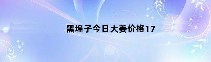 黑埠子今日大姜价格17