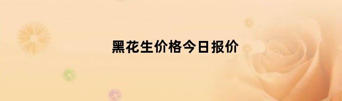 黑花生价格今日报价