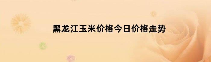 黑龙江玉米价格今日价格走势