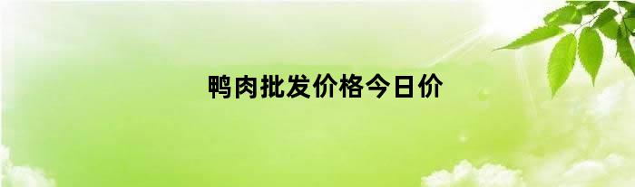 鸭肉批发价格今日价