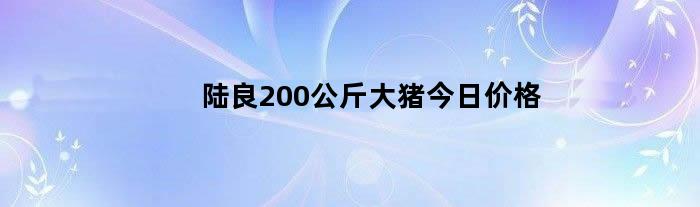 陆良200公斤大猪今日价格