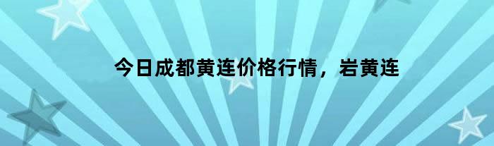 今日成都黄连价格行情，岩黄连