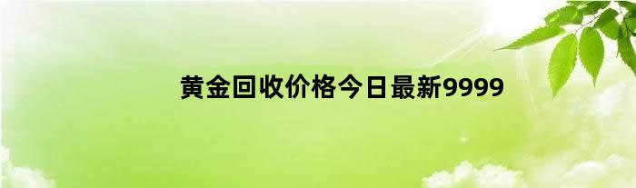 黄金回收价格今日最新9999