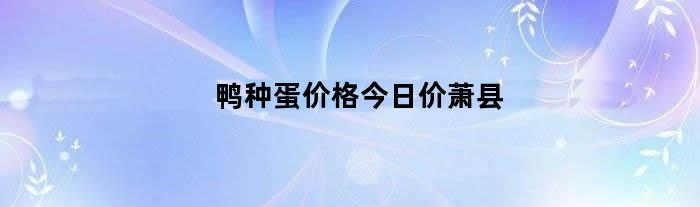 鸭种蛋价格今日价萧县