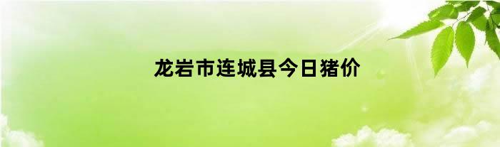 龙岩市连城县今日猪价