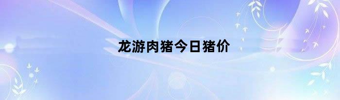 龙游肉猪今日猪价