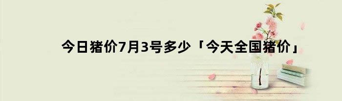 今日猪价7月3号多少「今天全国猪价」