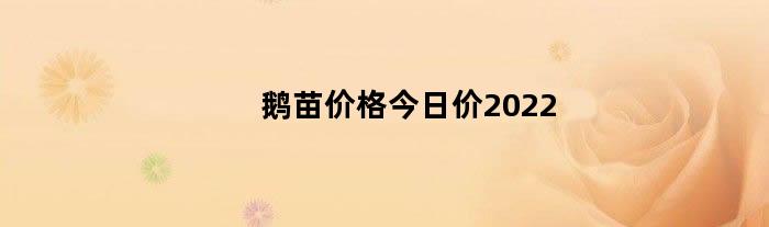 鹅苗价格今日价2024