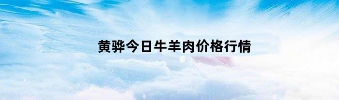 黄骅今日牛羊肉价格行情